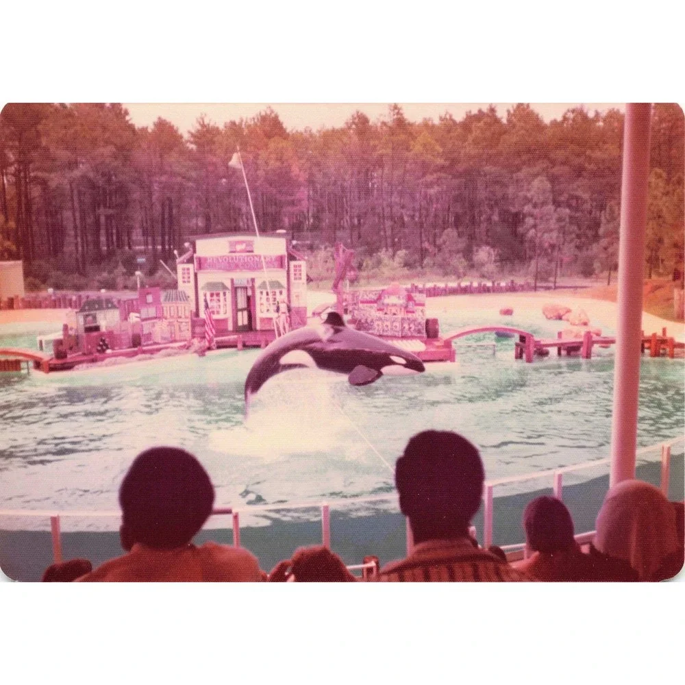 Vintage 1970s Six Flags Great Adventure Orca Water-Ski Show Photo Lot of 11 - Picture 9 of 11